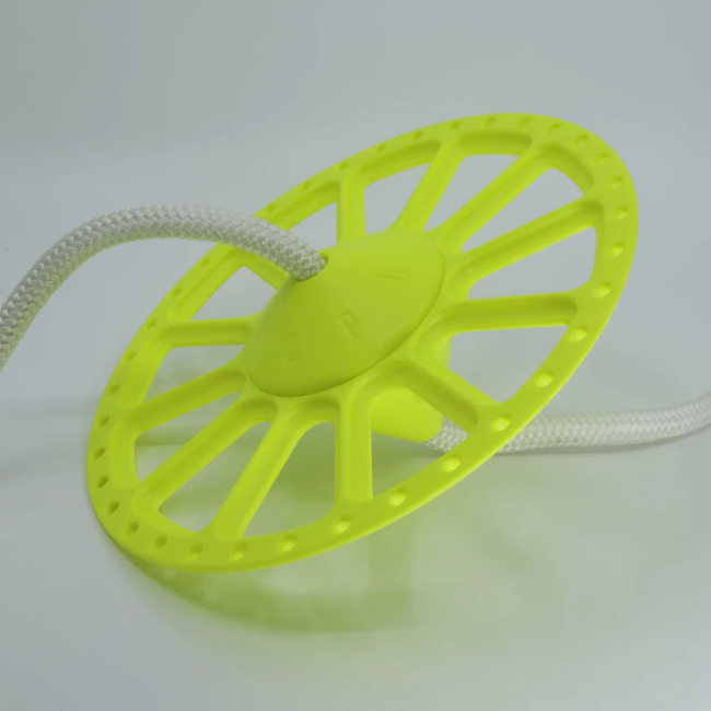 PLATO DE FONDO OCTOPUS FREEDIVING