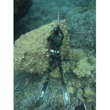 CAMUFLAJE CAMOSKIN MED C4