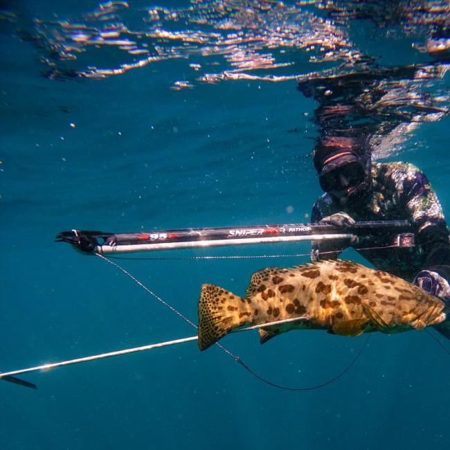 FUSIL SNIPER EVO ROLLER PATHOS